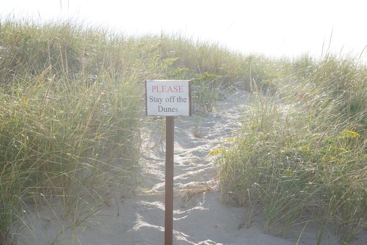 provincetown-stay-off-dunes
