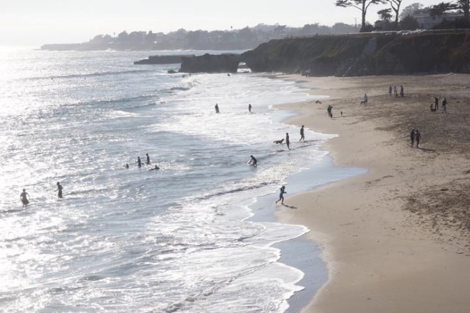 santa-cruz-dog-beach