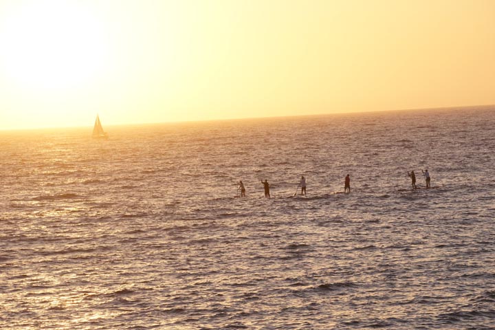 paddle-boarders-sailboat-sunset