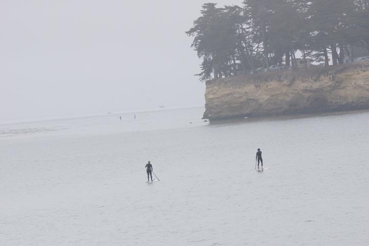 santa-cruz-paddleboarders