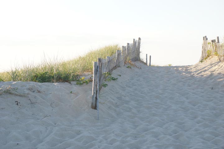 cape-cod-dune-provincetown