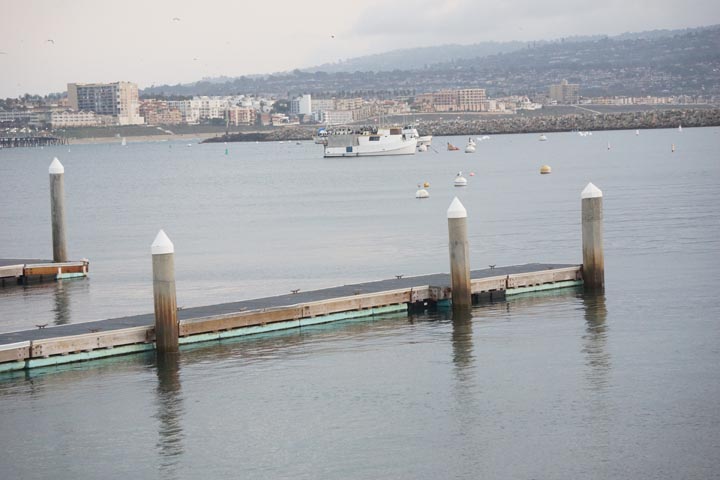 peaceful-harbor-redondo