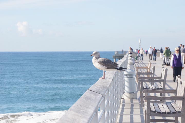 birds-eye-view-hermosa-pier