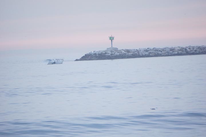 gathering-around-jetty-playa