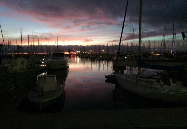 king-harbor-twilight-christmas-tree