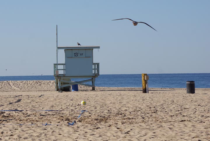 new-years-eve-2014-hermosa-morning