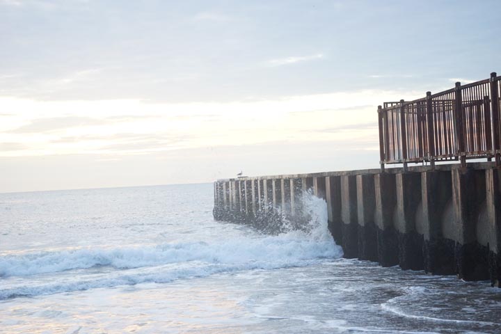 playa-jetty-splash-bird