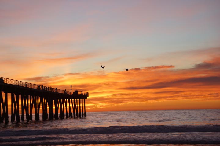 hermosa-vibrant-sunset-pelicans