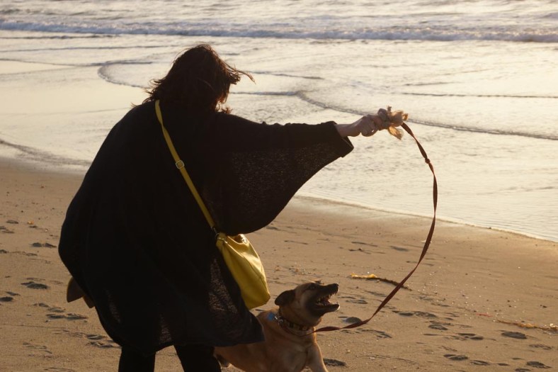 twirling-dervish-ada-rex-beach