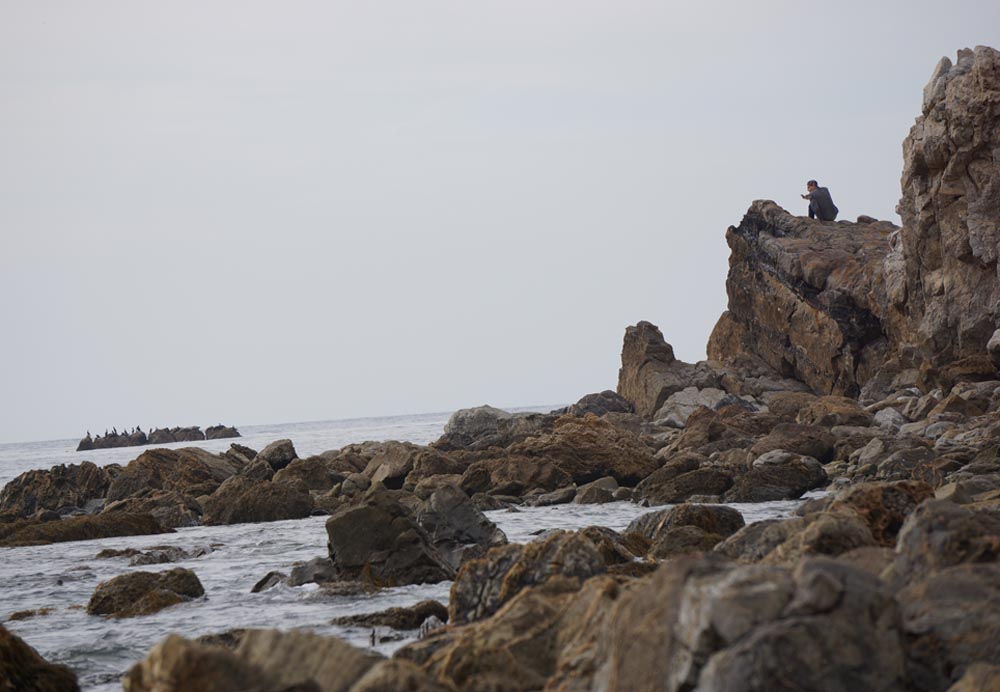 man-and-cell-phone-nature-malaga-cove
