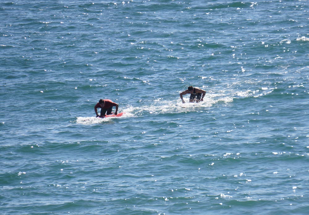 racing-shore-paddlers-hermosa