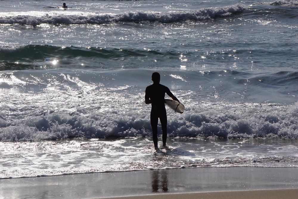 silvery-surfer-sunny-day