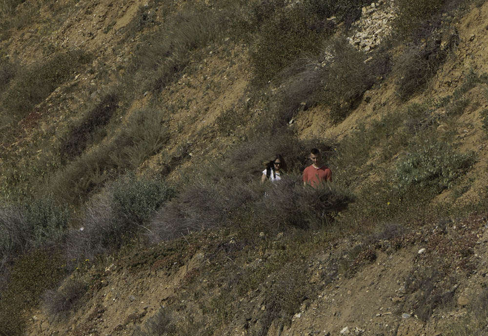 hikers-swallowed-up-nature-pv-trail