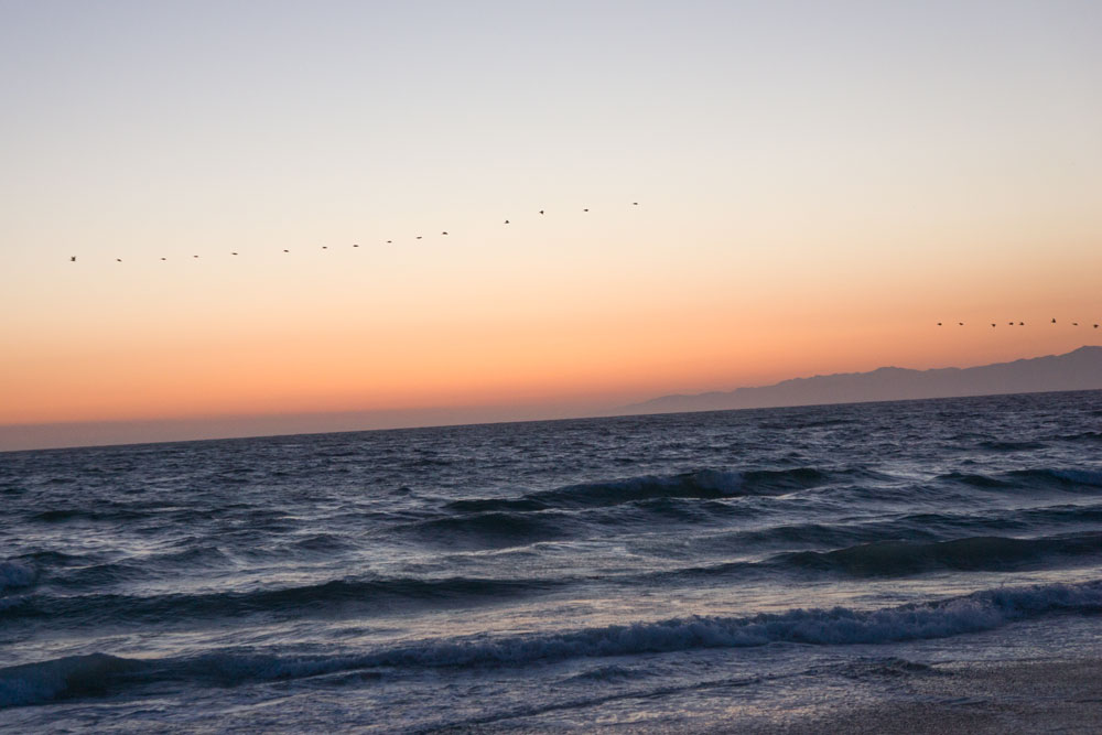 birds-after-sunset-hermosa