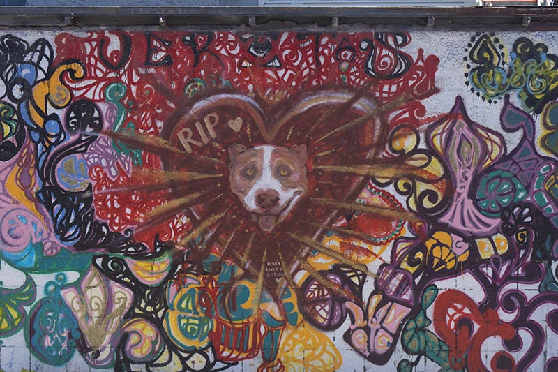 rip-venice-dog-mural
