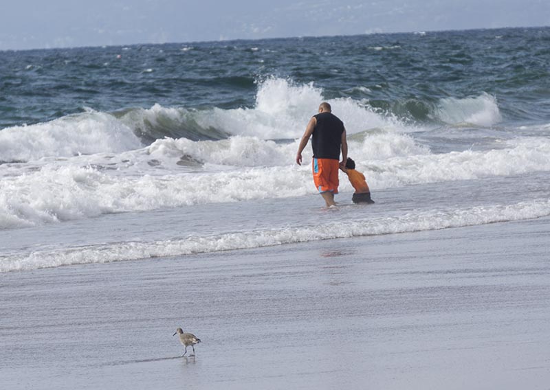 father-son-wading-water-hermosa-sept