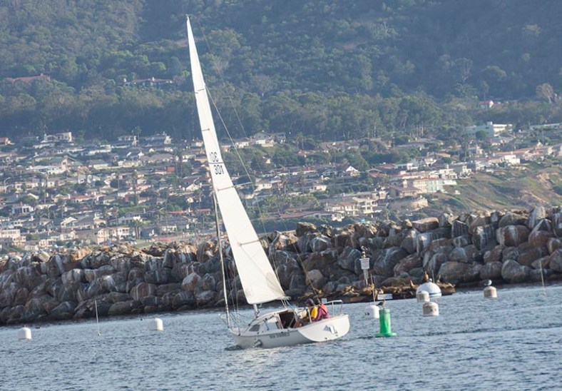 sailing-by-seals-redondo-harbor