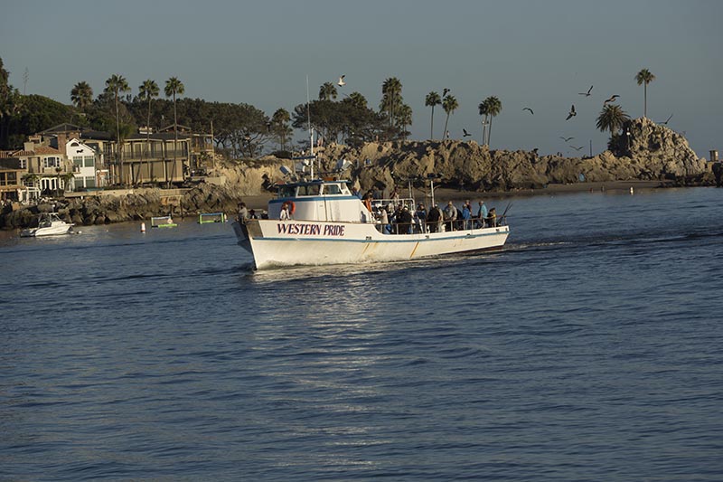 western-pride-newport-fall