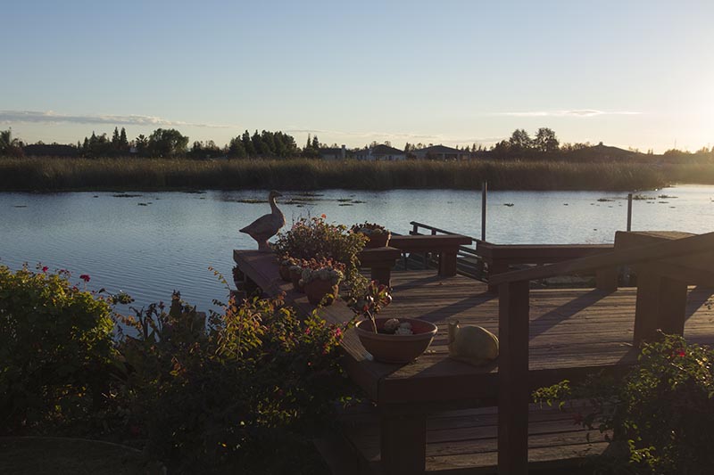 late-afternoon-delta-dock-nov