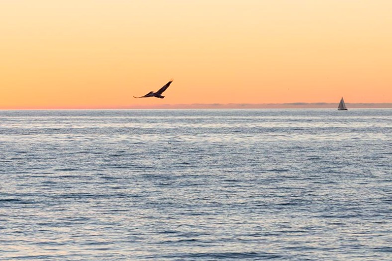 pelican-boat-sunset-redondo-breakwall-nov