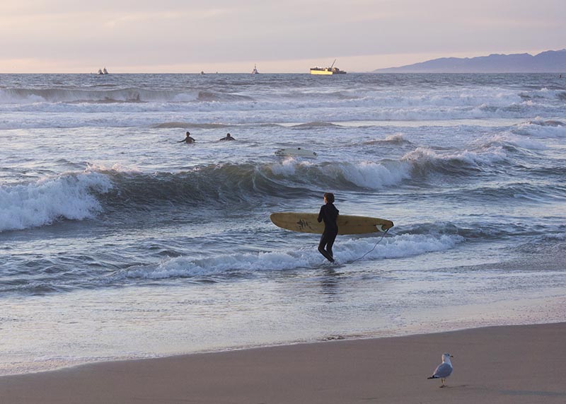 surfing-sunset-el-porto-jan