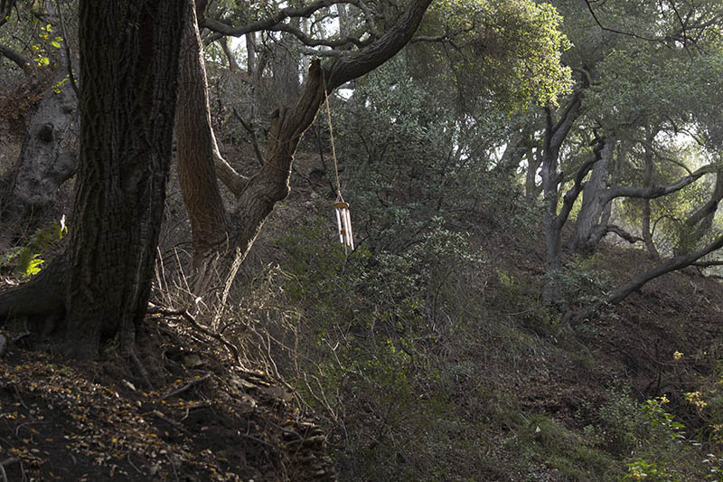 windchime-dixie-canyon-jan-afternoon