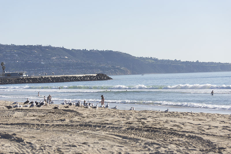 hermosa-sunny-warm-feb-day