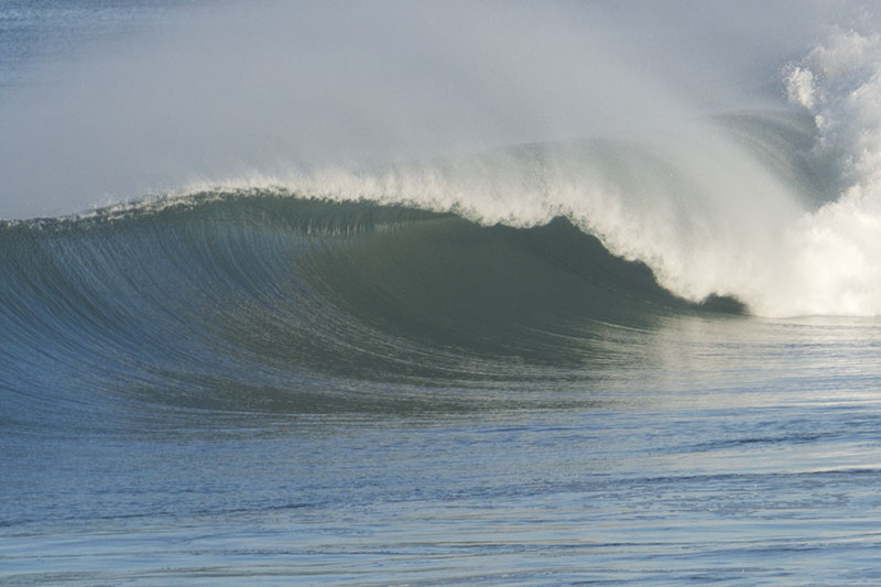 majestic-wave-curl-hermosa-feb-morning