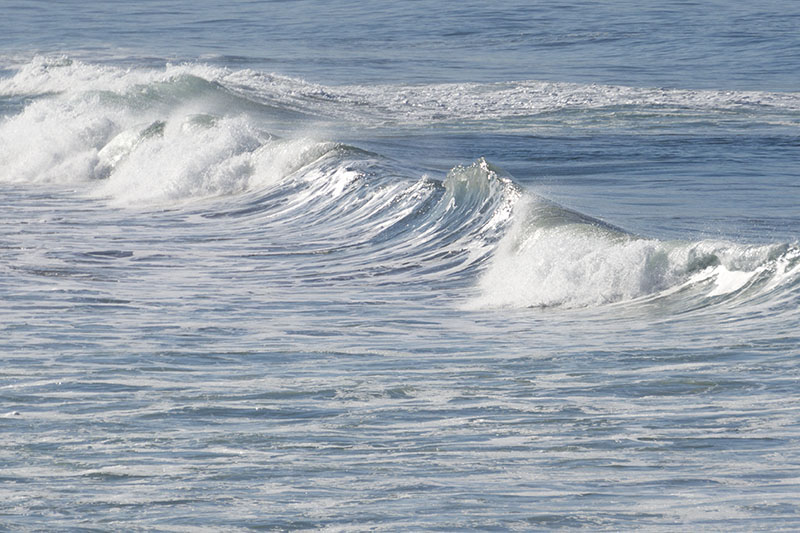pretty-swell-presidents-day-hermosa-beach