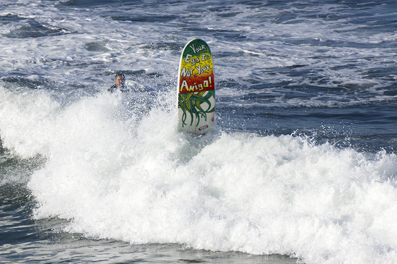 ego-not-amigo-board-hermosa-beach