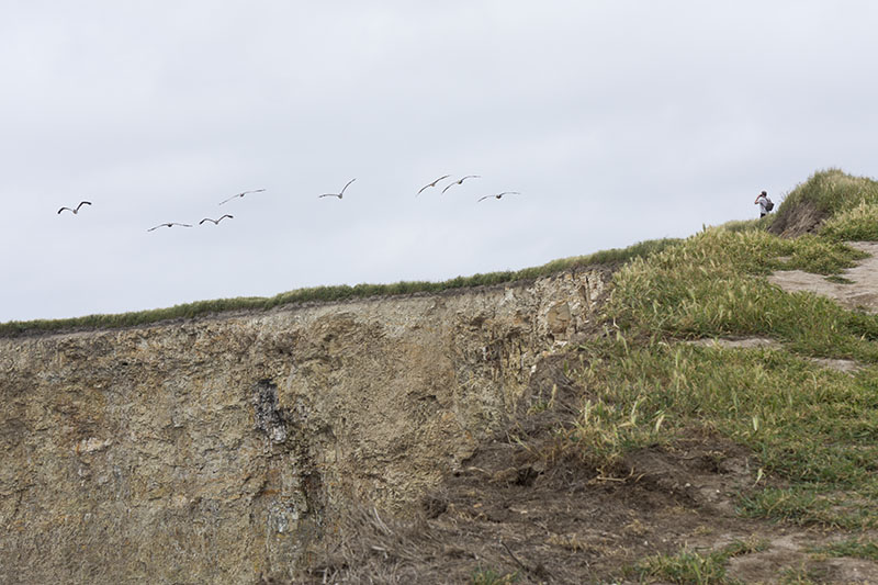 shooting-pelicans-davenport-april