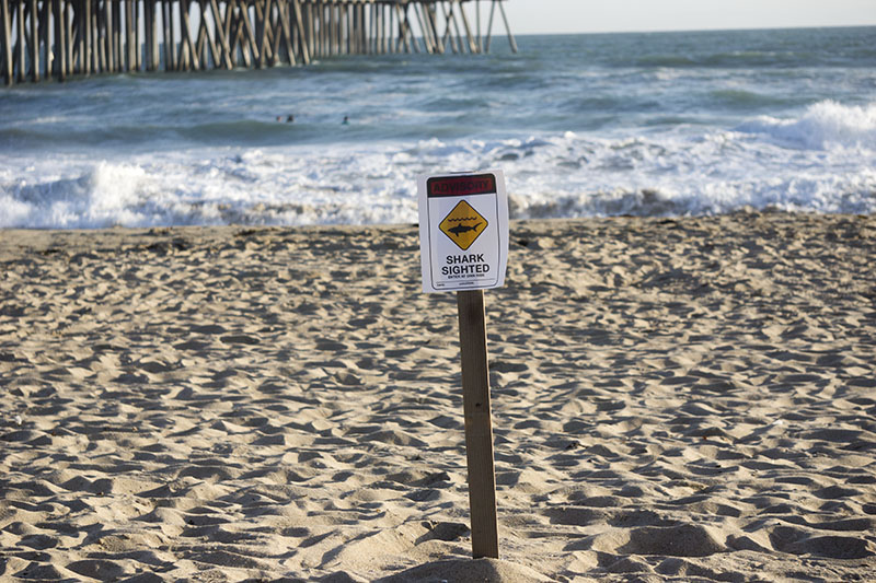 shark-sign-huntington-beach-late-april