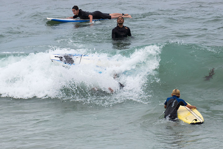 surf-class-hermosa-may-morning