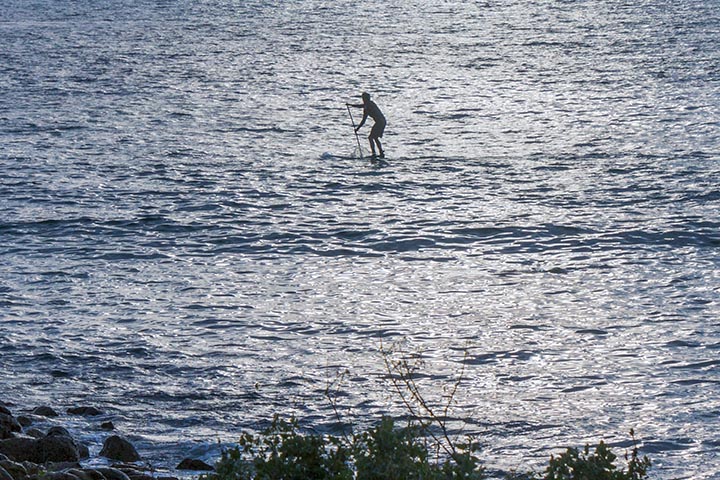 paddling-toward-pv-june-evening