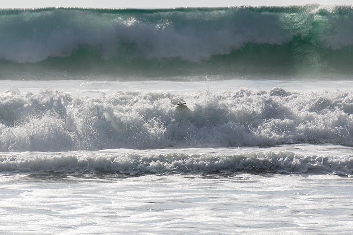 lost-rider-el-porto-sunny-oct-sat