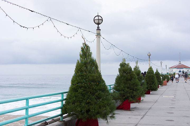 festive-in-mb-nov-2016