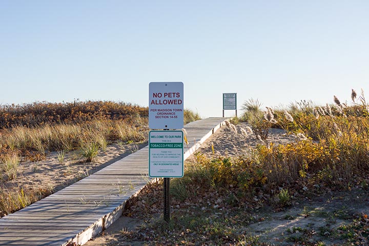 welcome-signs-madison-nov-2016